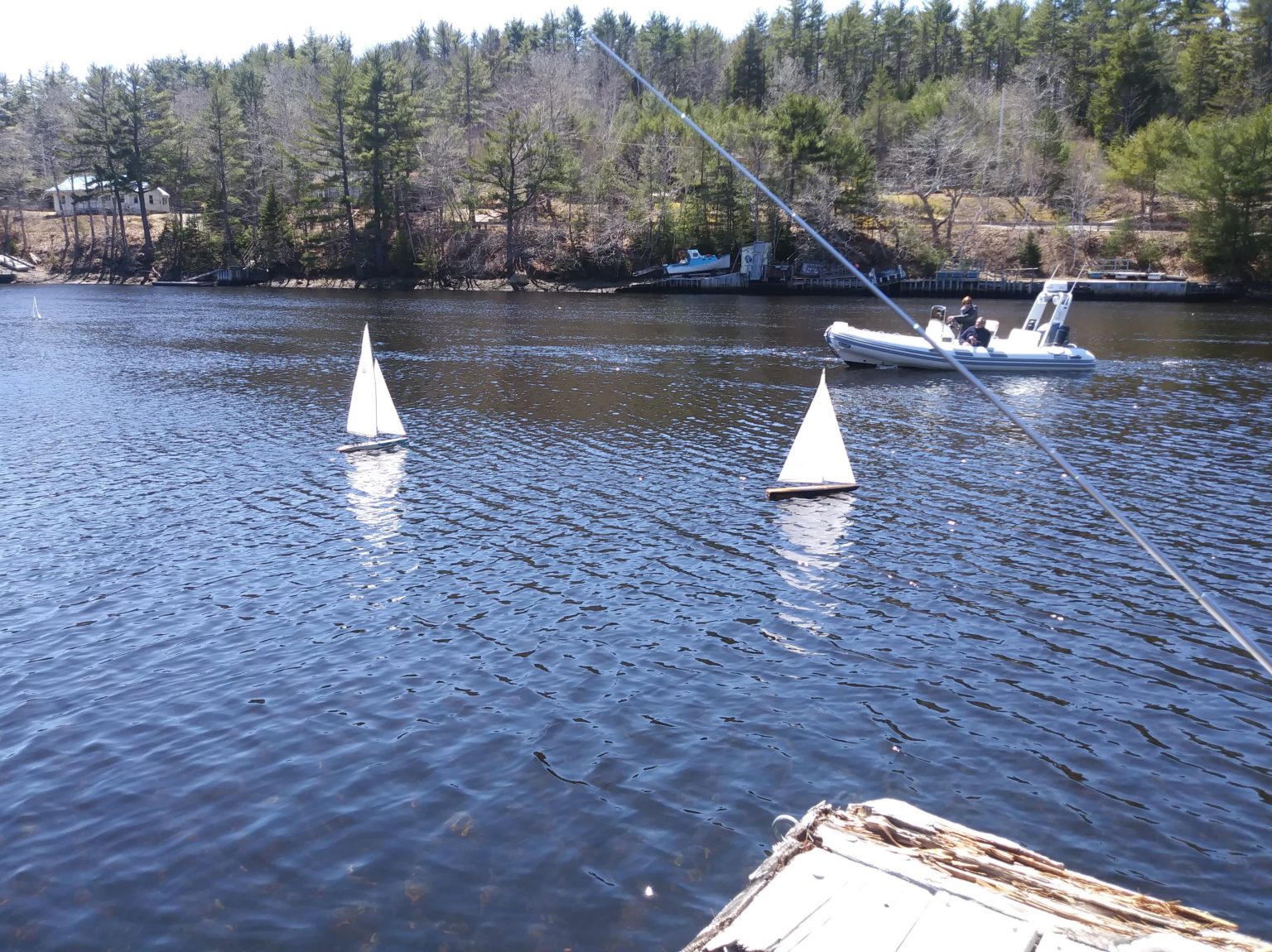 indian point yacht club ns